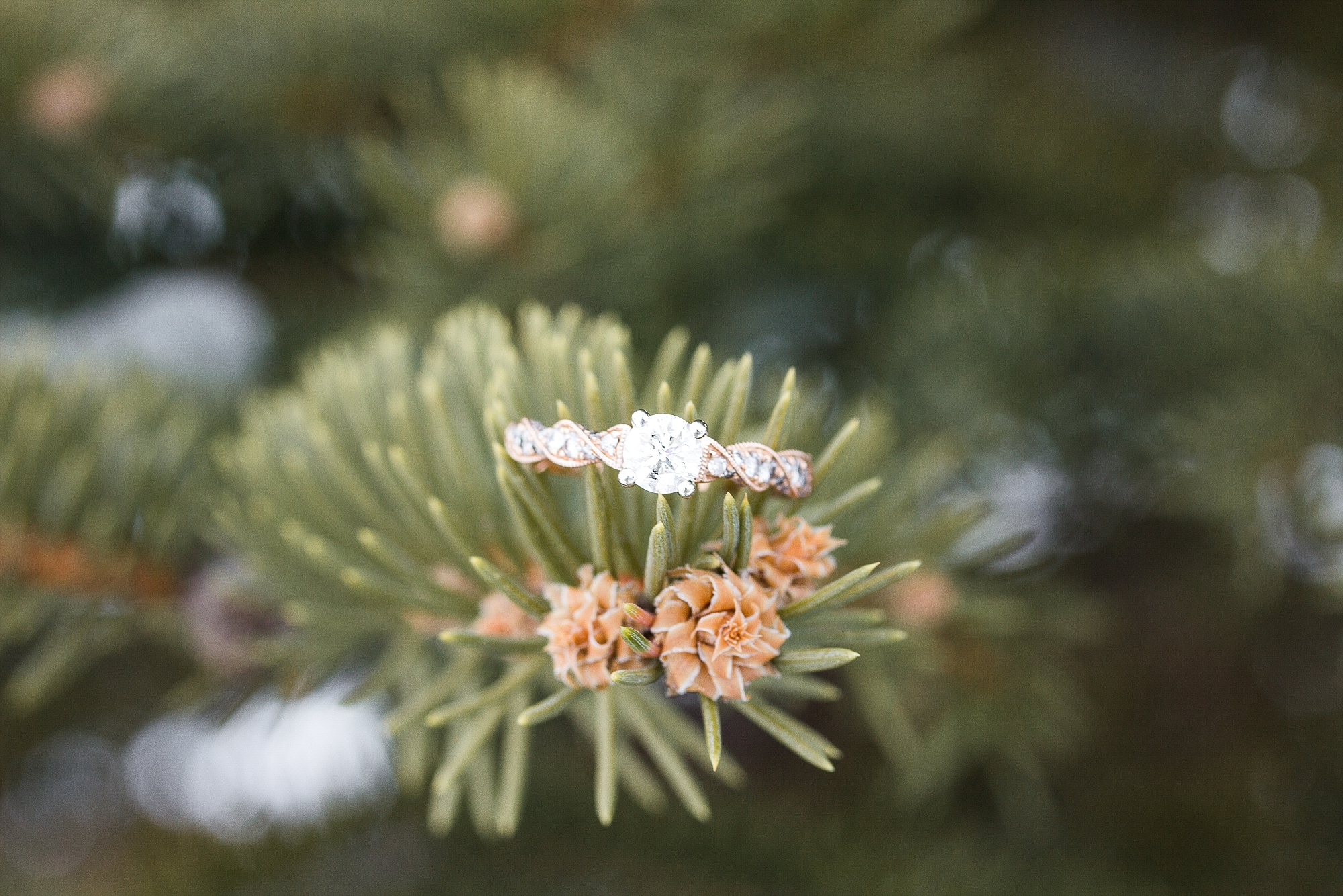 Rose gold engagement ring in snowy pine tree