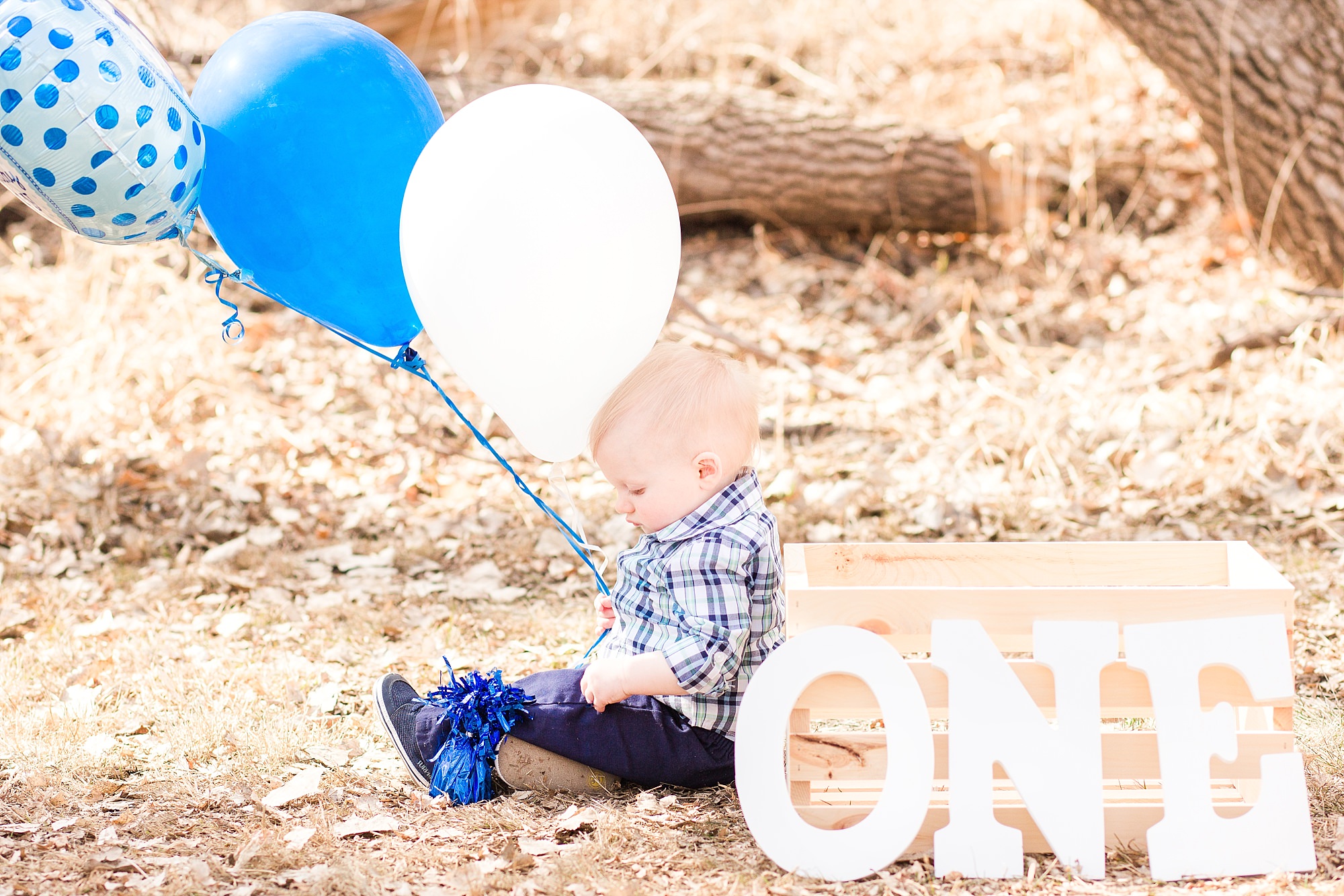 A boy in blue plaid sits in the grass with blue balloons and the word one for his First Birthday