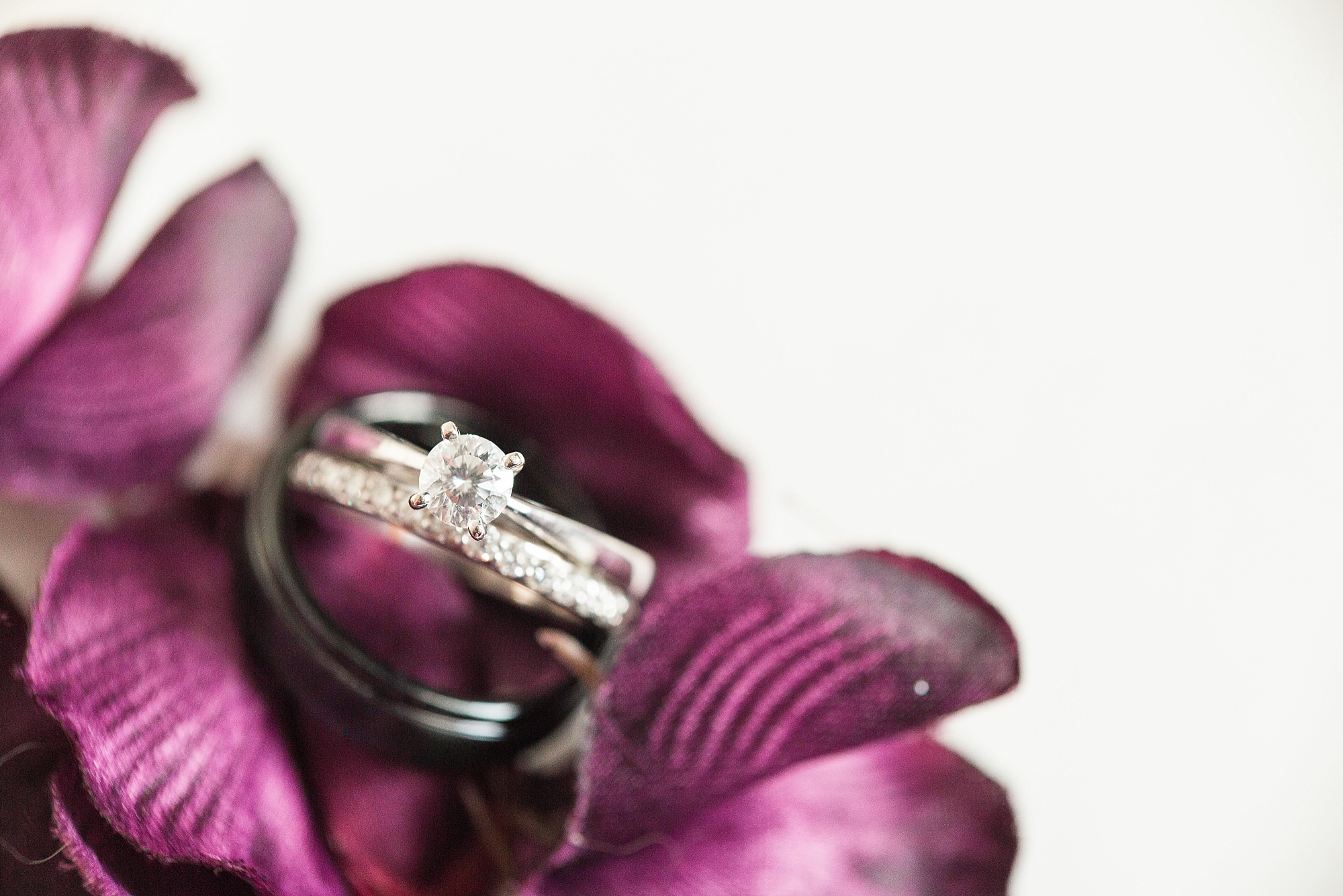 White gold wedding ring set sits on a bed of purple flower petals
