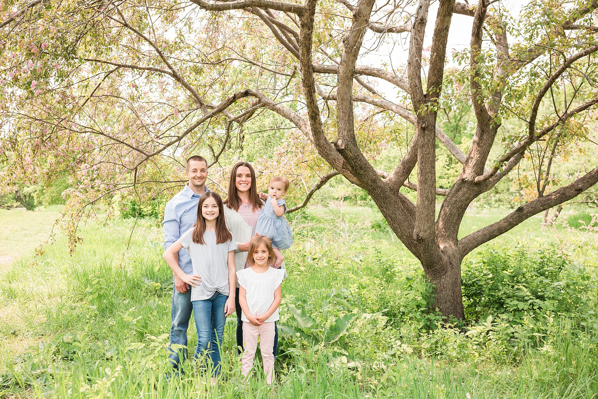 Family of five under blooming spring tree
