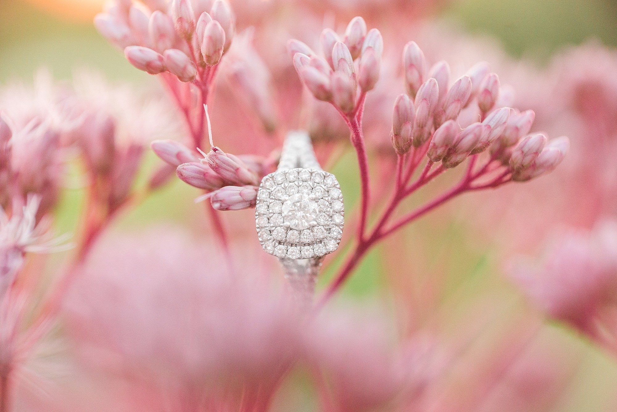 A halo diamond engagement ring rests on small pink flowers