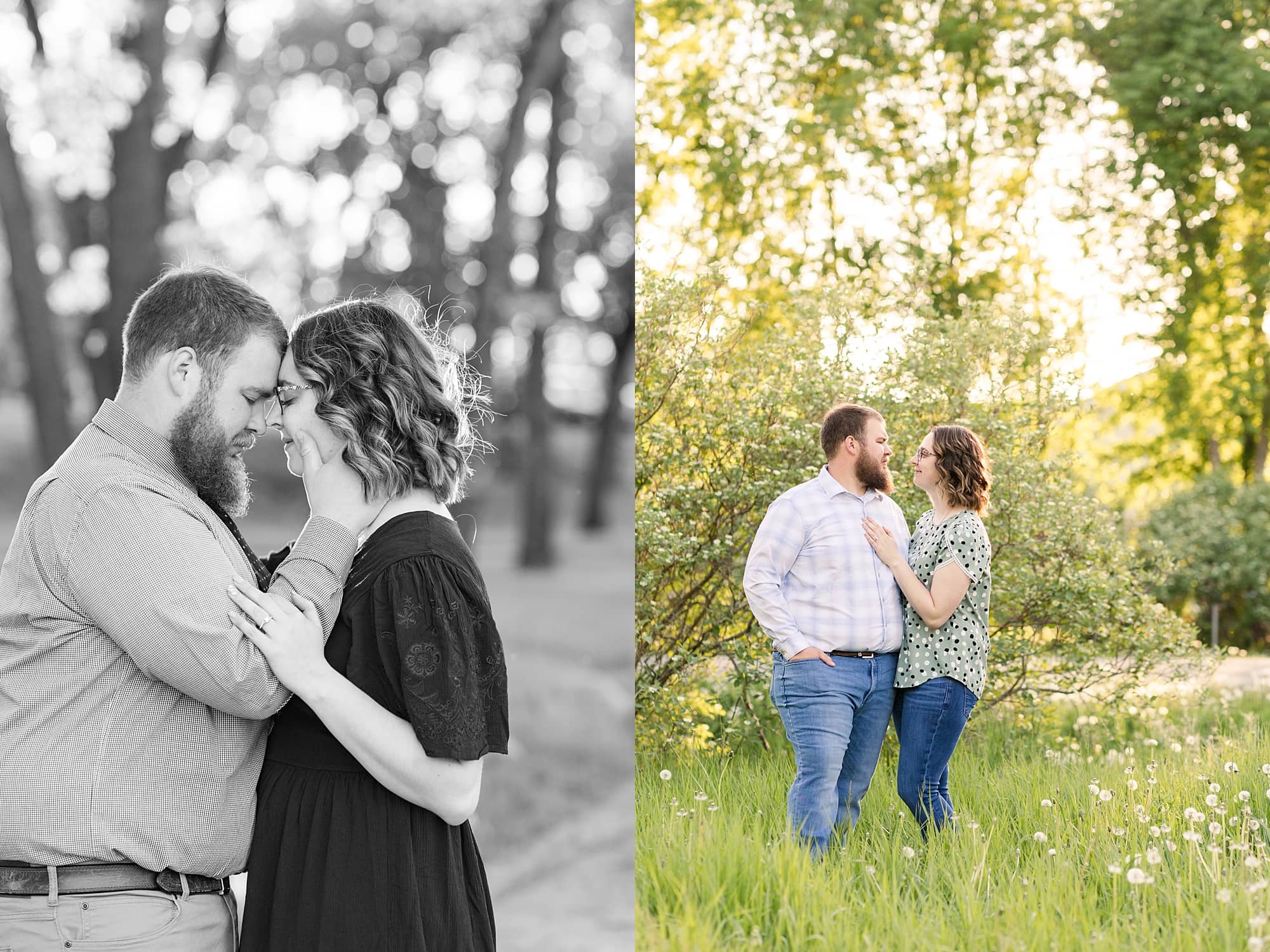 Sunset engagement session at Orchard Glen Park with a newly engaged couple in the tall grass