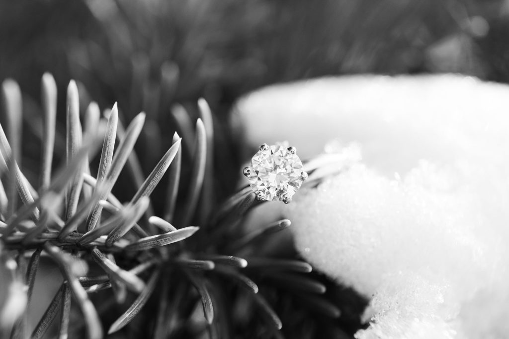 Black and white engagement ring in an evergreen covered in snow